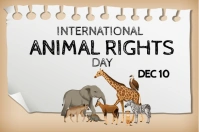 White Modern & Minimal International Animal Rights Day  Poster Póster template
