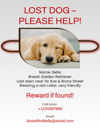 Branco Lost Dog Notice Flyer Template