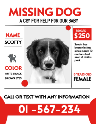 White Modern & Minimal Missing Dog Alert Flyer template