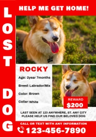 White Modern & Minimal Missing Pet A4 template