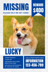 White Modern & Minimal Missing Pet Poster Affiche template