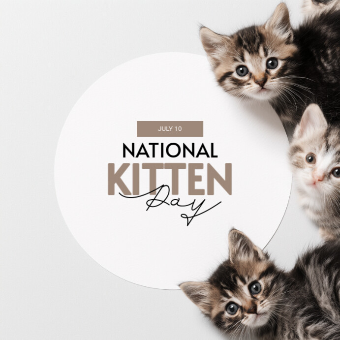 White Modern & Minimal National Kitten Day Instagram Post template