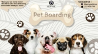White Modern & Minimal Pet Boarding 2025 Design Tamplate Free Pos Twitter template