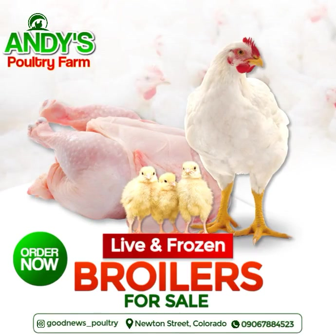 White Modern & Minimal Poultry Farm  Design Template Instagram Post