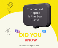 White Sea Turtle Facts Mellemstort rektangel Template