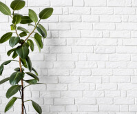 White Minimalist Decor Rettangolo medio Template
