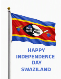 White Independence Day Celebration Ulotka Template