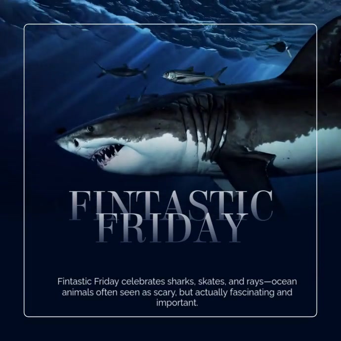 White Modern & Minimal Fintastic Friday Instagram Video template