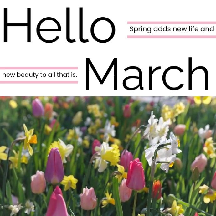 White Modern & Minimal Hello March Hello Blossom Pos Instagram template