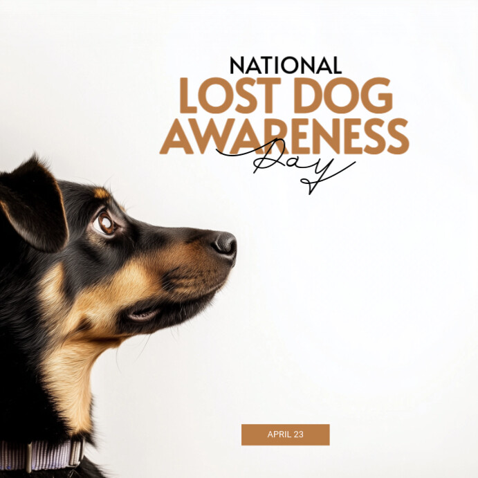 White Modern & Minimal National Lost Dog Awareness Day Instagram Post template