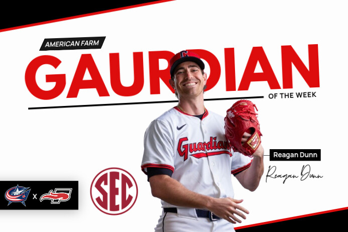 Copy of White Professional Baseball Tournament Poster | PosterMyWall