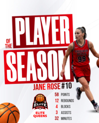 White Professional Basketball best Player of the Season stats statistics points rebounds assist bloc Instagram Portrait template