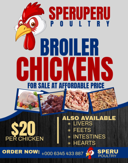 Broilers Flyer Design White Professional Broiler Chicken Poster/wallboard Template | PosterMyWall
