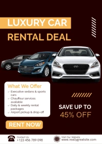 White Professional Car Hire Services Advertisement Template A2