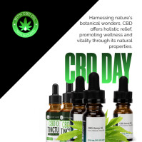 White Professional Cbd Day Instagram Post template