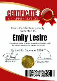 White Professional Certificate  A3 template