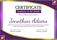 White Professional Certificate A5 template