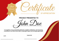 White Professional Certificate Of Appreciation  A3 template
