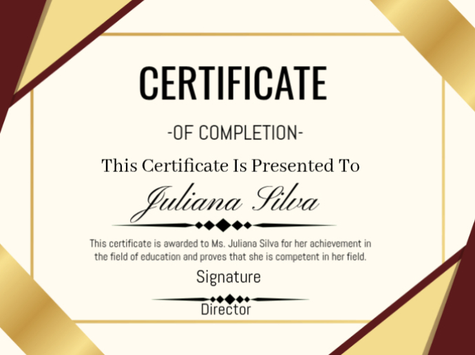 White Professional Certificate Of Completion Presentation Template ...
