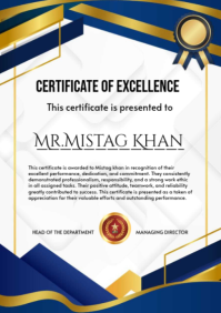 White Professional Certificate Of Excellence A2 template