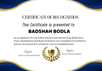 White Professional Certificate Of Recognitions A2 template