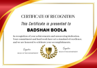 White Professional Certificate Of Recognitions A2 template