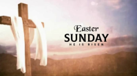 White Professional Easter Sunday Digital Display Video template