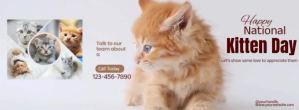Bianco Kitten Day Celebration Zdjęcie w tle na Facebooka Template