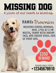 Putih Lost Pet Flyer Template