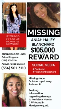 White Professional Missing Person Flyer Digit Digital Display (9:16) template
