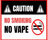 White Professional No Smoking  Medium Rectangle template