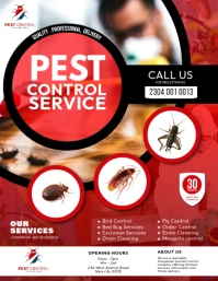 White Professional Pest Control Services Advertisement Ideas Flyer Template  Flyer (us Letter)