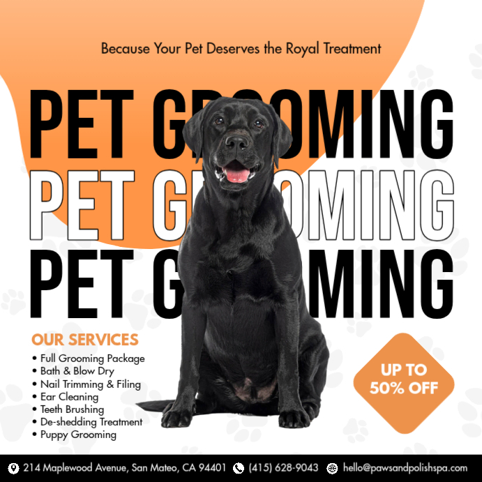 White Professional Pet Grooming Instagram Post Template | PosterMyWall