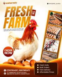 White Poultry Farm Promotion Instagram Portrait Template