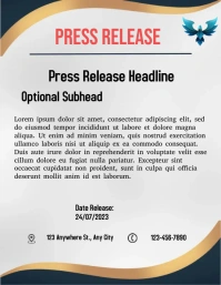 White Professional Press Release Letters  Fly Flyer (US Letter) template