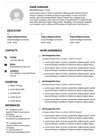 White Professional Resume A4 template