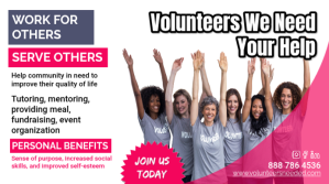 White Professional Volunteers Needed Digital Display (16:9) template