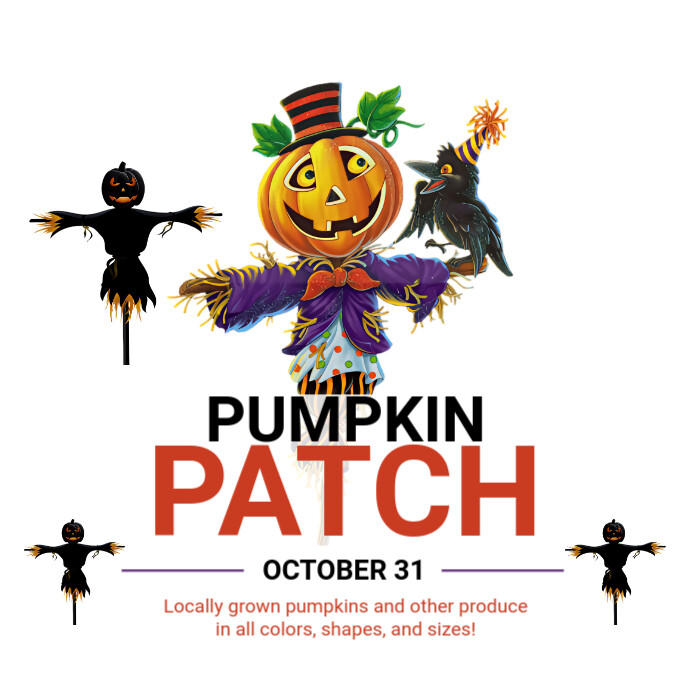 White  Pumpkin Patch  Square (1:1) template