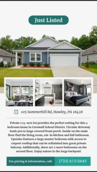 White Real Estate Instagram Story template