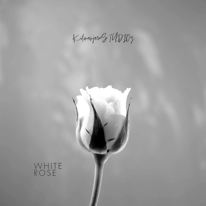 White Roses Cover Photo