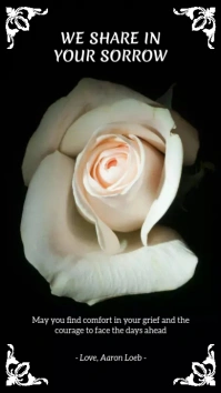 White Rose Sympathy Message Story template