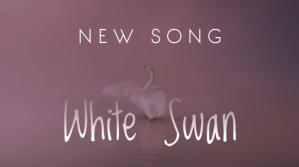 Rosa White Swan Song Artwork Miniatura de YouTube Template