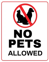White Typographic No Pets Allowed  Instagram Portrait template