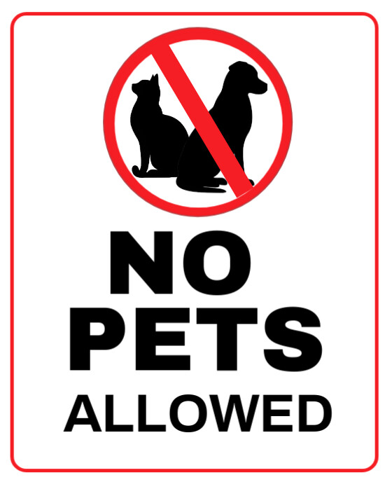 White Typographic No Pets Allowed  Instagram Portrait template
