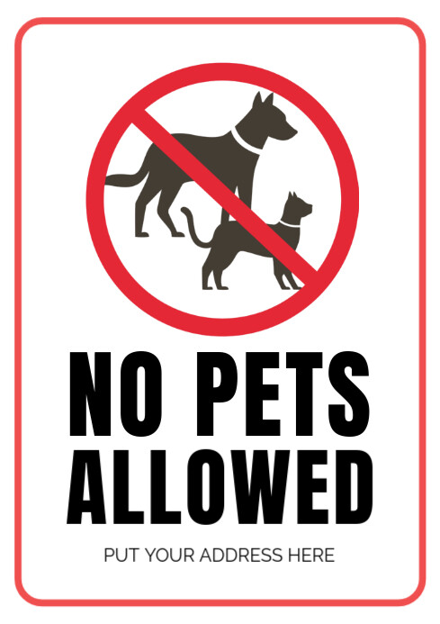 White Typographic No Pets Are Allowed Warning Posts  A4 template