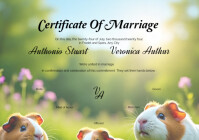White Vintage Marriage Certificate  A4 template