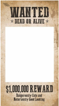 White Vintage Wanted Poster Instagram Story template