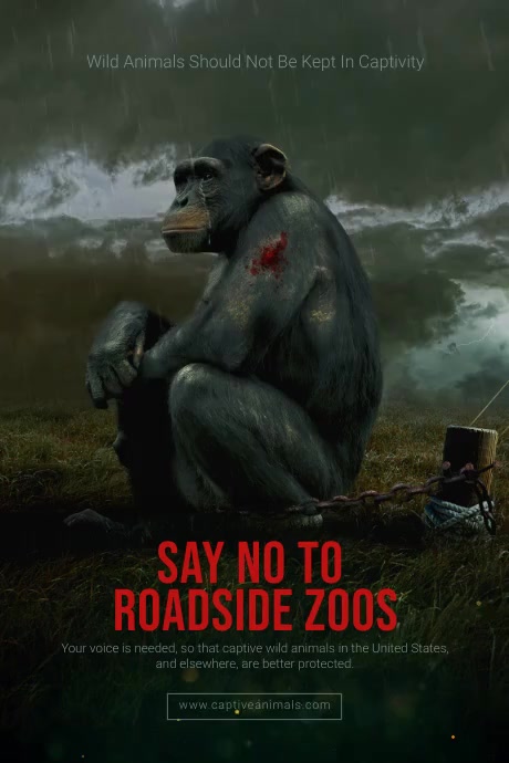 Wild Animals Poster Template | PosterMyWall