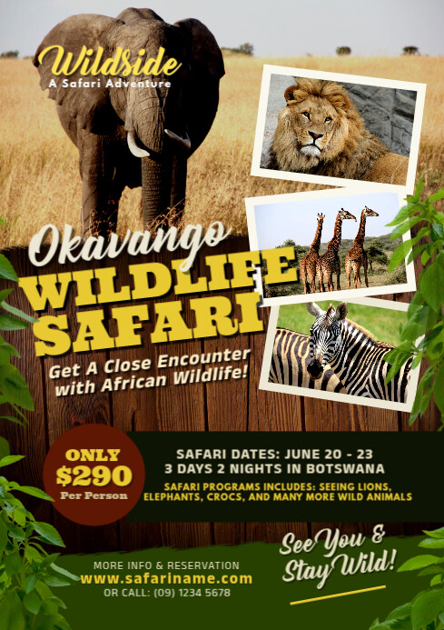 Zoo Safari Templates