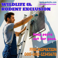 Wildlife & Rodent Exclusion Service Instagram Post Template